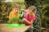 Thames & Kosmos Kids First Botany - Experimental Greenhouse Kit, Model:567004