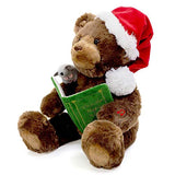 GUND Gnd GBD Storytime Bear GBL, Multicolor
