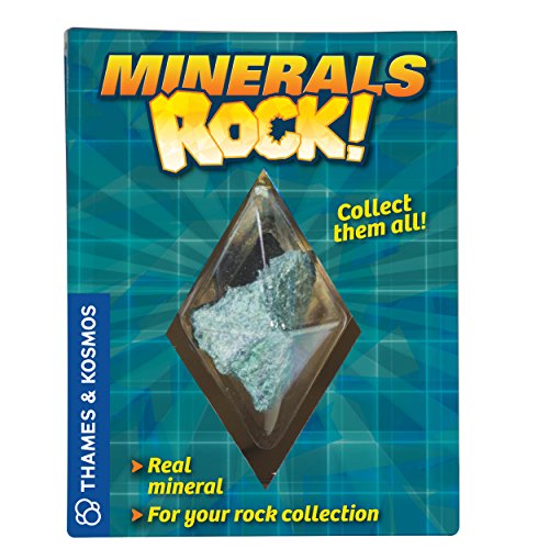Minerals Rock! - Real Specimen (24 Unit Display)