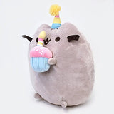 Enesco Pusheen Birthday Mug bundle with 10.5" Cupcake Plush