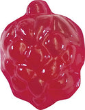 Thames & Kosmos Gummy Candy Lab - Bears, Fruit, Dolphins & Dinosaurs! Sweet Science STEM Experiment Kit, Make Your Own Gummy Candies in Cool Shapes & Colors | Learn Chemistry | New & Improved Formula