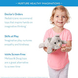 Melissa & Doug Animal Care Veterinarian & Groomer Wooden Activity Center (Best for 3, 4, 5 Year Olds and Up) & Examine & Treat Pet Vet Play Set (Kids Toy Best for 3, 4, 5 Year Olds and Up)