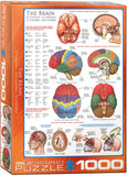 EuroGraphics Puzzles The Brain