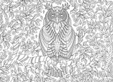 EuroGraphics Puzzles Vibrant Wisdom (Owl) / Color Me Puzzle - 500pc