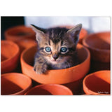 Melissa & Doug Flowerpot Kitten Cardboard Jigsaw Puzzle, 60-Piece