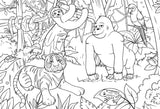 EuroGraphics Puzzles Jungle/ Color Me Puzzle - 100pc