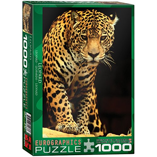 EuroGraphics Leopard Puzzle (1000-Piece)