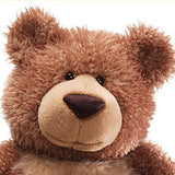 GUND Slumbers Teddy Bear Stuffed Animal Plush, Brown, 17"