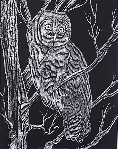 Melissa & Doug Scratch Art Scratchboard (11 x 13 inches, Black Coated - Set of 10 Boards, Great Gift for Girls and Boys - Best for 5, 6, 7, 8, 9 Year Olds and Up)