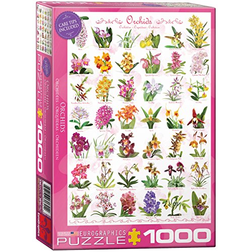 EuroGraphics Orchids Jigsaw Puzzle (1000-Piece)