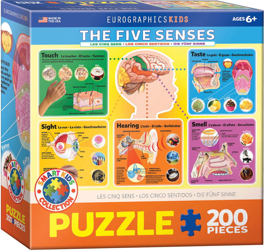 EuroGraphics Puzzles The Five Senses