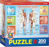 EuroGraphics Puzzles The Human Body