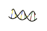 Thames & Kosmos  Genetics & DNA 665002