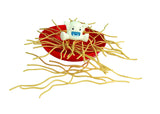 Yeti in My Spaghetti® 6958
