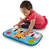 Fisher Price Kick & Play Piano CCW02 & DYW51