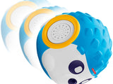 Fisher Price Think & Learn Rhythm ‘n Roll Hedgehog FDM98