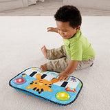 Fisher Price Kick & Play Piano CCW02 & DYW51