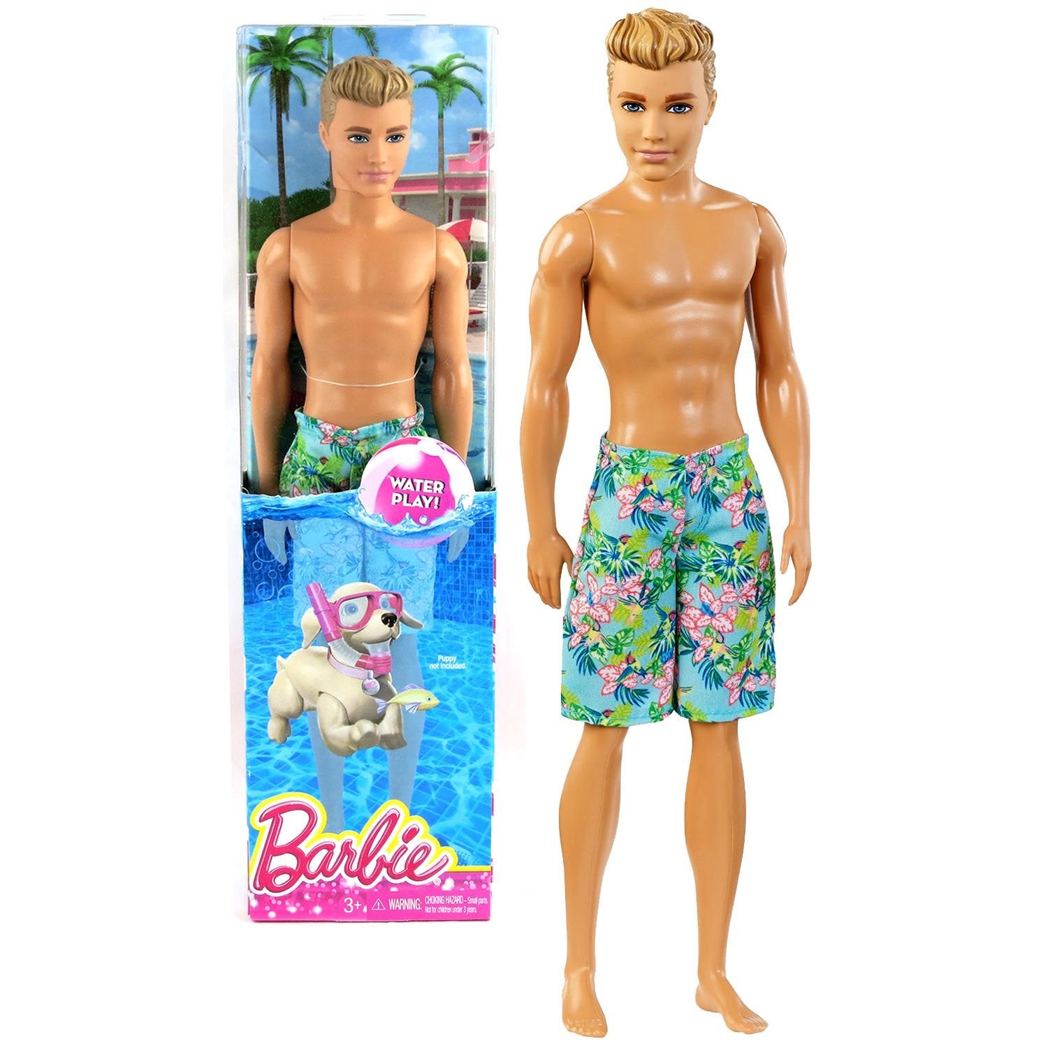 Mattel Barbie Water Play! Series 12 Inch Doll - KEN (DGT83)