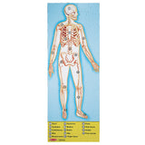 Melissa and Doug Kids Toy, Human Body 100-Piece Floor Puzzle