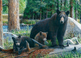 EuroGraphics Puzzles New Discoveriesby Kevin Daniel