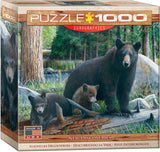 EuroGraphics Puzzles New Discoveriesby Kevin Daniel