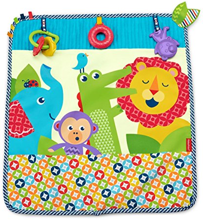 Fisher Price On-the-Go Activity Throw DYW52