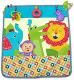 Fisher Price On-the-Go Activity Throw DYW52