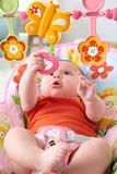 Fisher Price Infant-to-Toddler Rocker