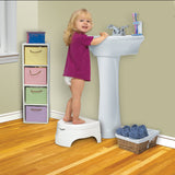 Summer All-in-One Potty Seat and Step Stool, Blue
