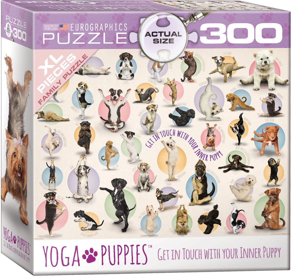 EuroGraphics Puzzles Yoga Puppies (300pc)