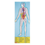 Melissa and Doug Kids Toy, Human Body 100-Piece Floor Puzzle