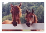 Melissa & Doug 0100 pc Horse Corral Cardboard Jigsaw 8944