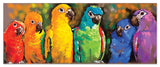 Parrot Rainbow Cardboard Jigsaw - 1000 Pieces 9091