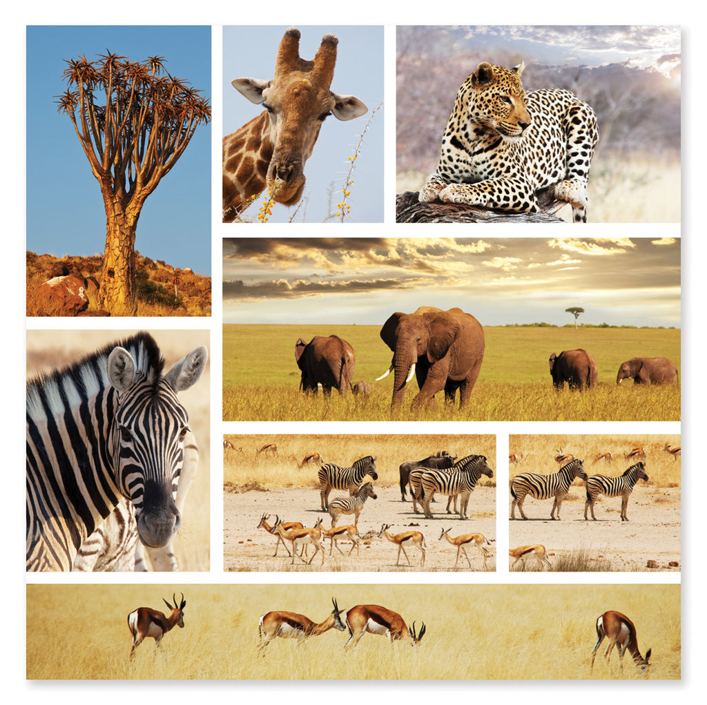 Safari Shapshots Cardboard Jigsaw - 1000 Pieces 9099