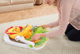 Fisher Price Sit-Me-Up Floor Seat with Tray CBV48