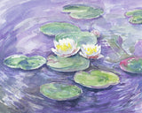 Ravensburger Arts & Crafts Aquarelle Maxi - Monet 29481