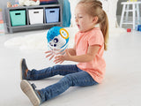 Fisher Price Think & Learn Rhythm ‘n Roll Hedgehog FDM98