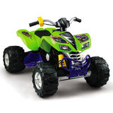 Fisher Price Power Wheels® Teenage Mutant Ninja Turtles™ Kawasaki KFX - BCK86X®