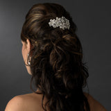 Barrette 5040 Rhodium Silver Clear