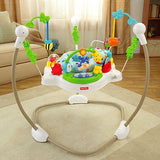 Fisher Price Zoo Party Jumperoo™ CBP03