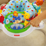 Fisher Price Zoo Party Jumperoo™ CBP03