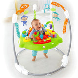 Fisher Price Luv U Zoo or Roarin' Rainforest Jumperoo V0206 or CBV63