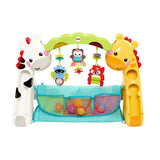Fisher Price Newborn-to-Toddler Play Gym CCB70