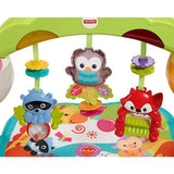 Fisher Price Newborn-to-Toddler Play Gym CCB70