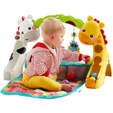 Fisher Price Newborn-to-Toddler Play Gym CCB70