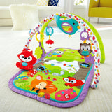 Fisher Price 3-in-1 Musical Activity Gym - Woodland / Pink