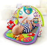 Fisher Price 3-in-1 Musical Activity Gym - Woodland / Pink
