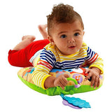 Fisher Price Comfort Vibe Play Wedge CDN50