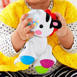 Fisher Price Zebra Clicker Pal CGG83
