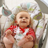 Fisher Price Deluxe Take-Along Swing & Seat DYH31 or CJV03
